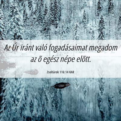 Picture 06 - Zsoltárok 116:14 KAR - Az Úr iránt való fogadásaimat megadom az õ - Bible Verse Picture