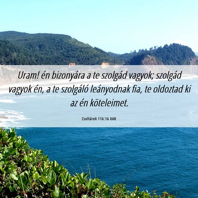 Picture 06 - Zsoltárok 116:16 KAR - Uram! én bizonyára a te szolgád vagyok; - Bible Verse Picture