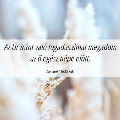 Picture 06 - Zsoltárok 116:18 KAR - Az Úr iránt való fogadásaimat megadom az õ - Bible Verse Picture
