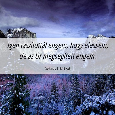 Picture 06 - Zsoltárok 118:13 KAR - Igen taszítottál engem, hogy elessem; de az Úr - Bible Verse Picture