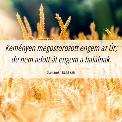 Picture 06 - Zsoltárok 118:18 KAR - Keményen megostorozott engem az Úr; de nem - Bible Verse Picture
