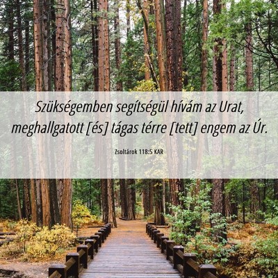Picture 06 - Zsoltárok 118:5 KAR - Szükségemben segítségül hívám az Urat, - Bible Verse Picture