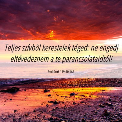 Picture 06 - Zsoltárok 119:10 KAR - Teljes szívbõl kerestelek téged: ne engedj - Bible Verse Picture