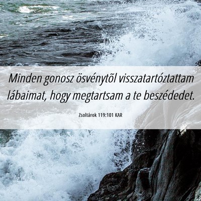 Picture 06 - Zsoltárok 119:101 KAR - Minden gonosz ösvénytõl visszatartóztattam - Bible Verse Picture