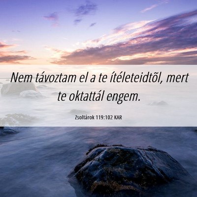 Picture 06 - Zsoltárok 119:102 KAR - Nem távoztam el a te ítéleteidtõl, mert te - Bible Verse Picture