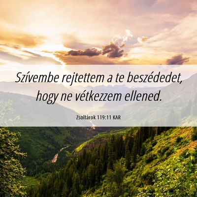 Picture 06 - Zsoltárok 119:11 KAR - Szívembe rejtettem a te beszédedet, hogy ne - Bible Verse Picture