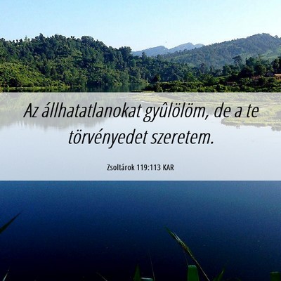 Picture 06 - Zsoltárok 119:113 KAR - Az állhatatlanokat gyûlölöm, de a te - Bible Verse Picture