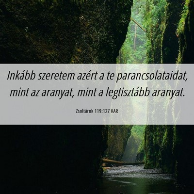 Picture 06 - Zsoltárok 119:127 KAR - Inkább szeretem azért a te parancsolataidat, - Bible Verse Picture