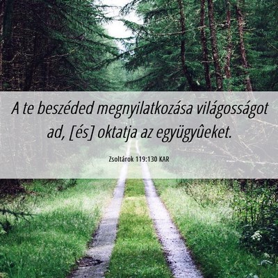 Picture 06 - Zsoltárok 119:130 KAR - A te beszéded megnyilatkozása világosságot - Bible Verse Picture