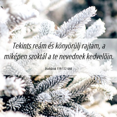 Picture 06 - Zsoltárok 119:132 KAR - Tekints reám és könyörülj rajtam, a miképen - Bible Verse Picture
