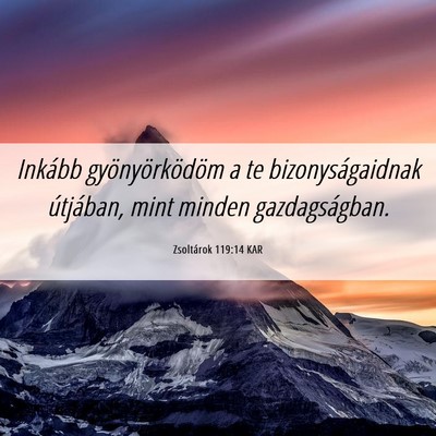 Picture 06 - Zsoltárok 119:14 KAR - Inkább gyönyörködöm a te bizonyságaidnak - Bible Verse Picture