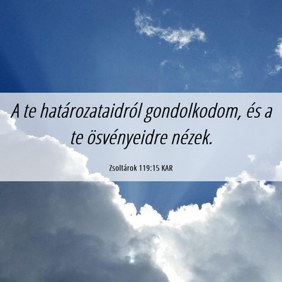 Picture 06 - Zsoltárok 119:15 KAR - A te határozataidról gondolkodom, és a te - Bible Verse Picture