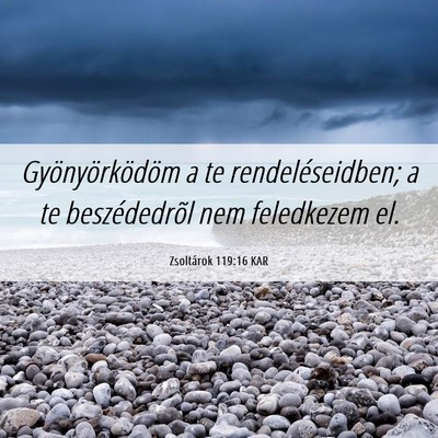 Picture 06 - Zsoltárok 119:16 KAR - Gyönyörködöm a te rendeléseidben; a te - Bible Verse Picture