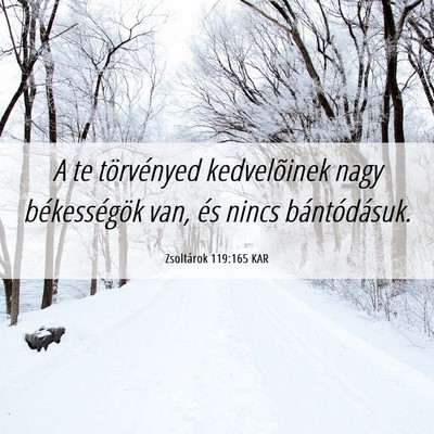Picture 06 - Zsoltárok 119:165 KAR - A te törvényed kedvelõinek nagy békességök - Bible Verse Picture