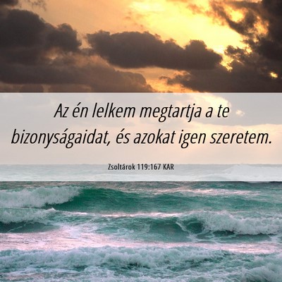 Picture 06 - Zsoltárok 119:167 KAR - Az én lelkem megtartja a te bizonyságaidat, és - Bible Verse Picture