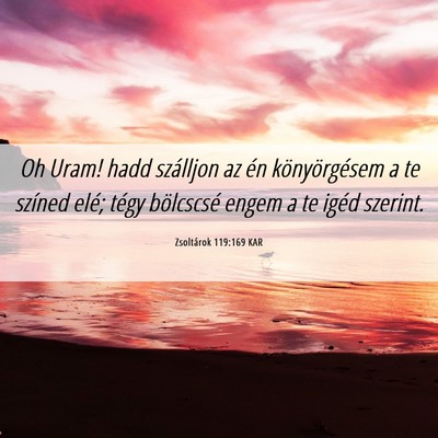 Picture 06 - Zsoltárok 119:169 KAR - Oh Uram! hadd szálljon az én könyörgésem a - Bible Verse Picture
