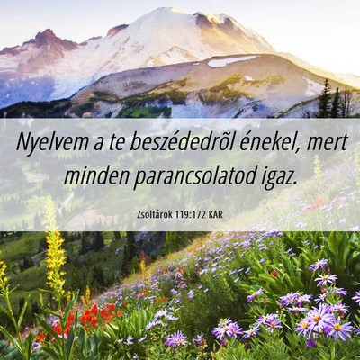 Picture 06 - Zsoltárok 119:172 KAR - Nyelvem a te beszédedrõl énekel, mert minden - Bible Verse Picture