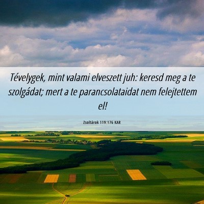 Picture 06 - Zsoltárok 119:176 KAR - Tévelygek, mint valami elveszett juh: keresd meg - Bible Verse Picture