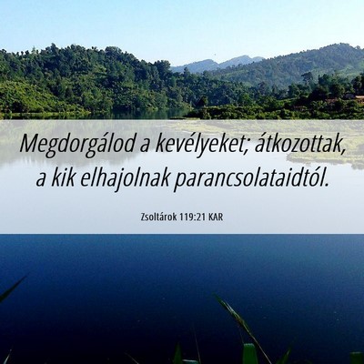 Picture 06 - Zsoltárok 119:21 KAR - Megdorgálod a kevélyeket; átkozottak, a kik - Bible Verse Picture