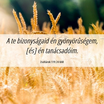 Picture 06 - Zsoltárok 119:24 KAR - A te bizonyságaid én gyönyörûségem, [és] - Bible Verse Picture