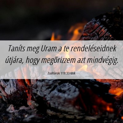 Picture 06 - Zsoltárok 119:33 KAR - Taníts meg Uram a te rendeléseidnek útjára, - Bible Verse Picture