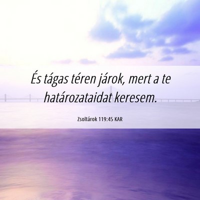 Picture 06 - Zsoltárok 119:45 KAR - És tágas téren járok, mert a te - Bible Verse Picture