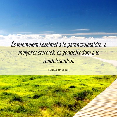 Picture 06 - Zsoltárok 119:48 KAR - És felemelem kezeimet a te parancsolataidra, a - Bible Verse Picture