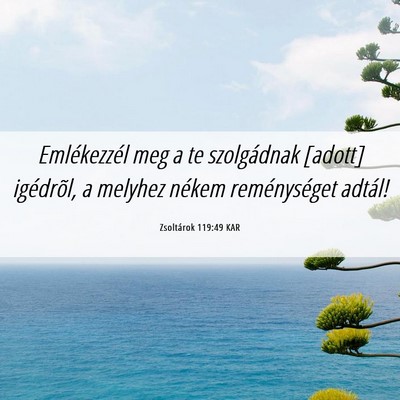 Picture 06 - Zsoltárok 119:49 KAR - Emlékezzél meg a te szolgádnak [adott] - Bible Verse Picture