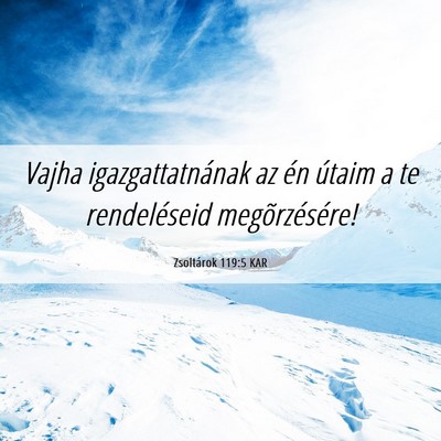 Picture 06 - Zsoltárok 119:5 KAR - Vajha igazgattatnának az én útaim a te - Bible Verse Picture