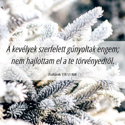 Picture 06 - Zsoltárok 119:51 KAR - A kevélyek szerfelett gúnyoltak engem; nem - Bible Verse Picture