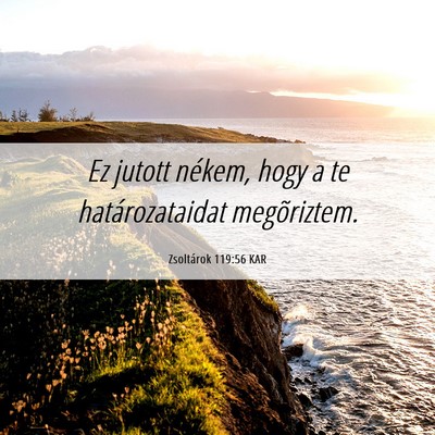 Picture 06 - Zsoltárok 119:56 KAR - Ez jutott nékem, hogy a te határozataidat - Bible Verse Picture