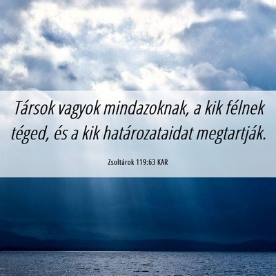 Picture 06 - Zsoltárok 119:63 KAR - Társok vagyok mindazoknak, a kik félnek téged, - Bible Verse Picture