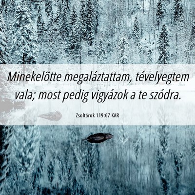 Picture 06 - Zsoltárok 119:67 KAR - Minekelõtte megaláztattam, tévelyegtem vala; - Bible Verse Picture