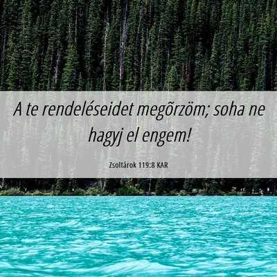 Picture 06 - Zsoltárok 119:8 KAR - A te rendeléseidet megõrzöm; soha ne hagyj el - Bible Verse Picture