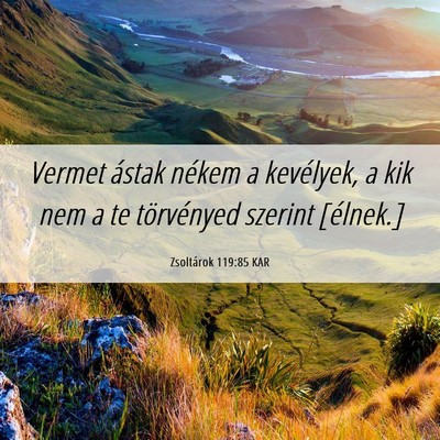 Picture 06 - Zsoltárok 119:85 KAR - Vermet ástak nékem a kevélyek, a kik nem a te - Bible Verse Picture