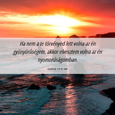 Picture 06 - Zsoltárok 119:92 KAR - Ha nem a te törvényed lett volna az én - Bible Verse Picture