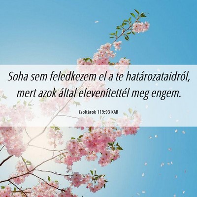 Picture 06 - Zsoltárok 119:93 KAR - Soha sem feledkezem el a te határozataidról, - Bible Verse Picture