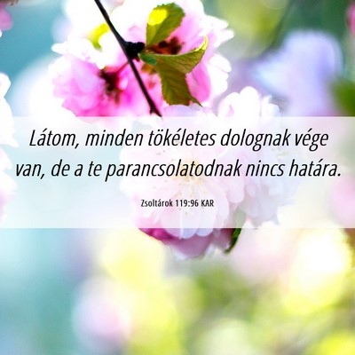 Picture 06 - Zsoltárok 119:96 KAR - Látom, minden tökéletes dolognak vége van, de - Bible Verse Picture