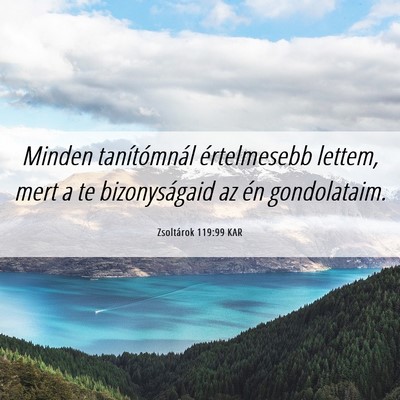 Picture 06 - Zsoltárok 119:99 KAR - Minden tanítómnál értelmesebb lettem, mert a - Bible Verse Picture