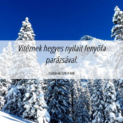 Picture 06 - Zsoltárok 120:4 KAR - Vitéznek hegyes nyilait fenyõfa - Bible Verse Picture