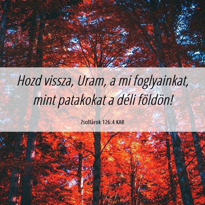 Picture 06 - Zsoltárok 126:4 KAR - Hozd vissza, Uram, a mi foglyainkat, mint - Bible Verse Picture