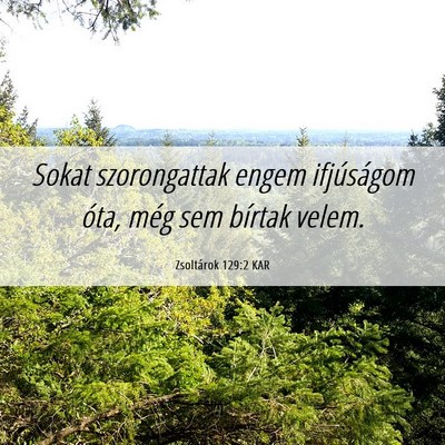 Picture 06 - Zsoltárok 129:2 KAR - Sokat szorongattak engem ifjúságom óta, még - Bible Verse Picture