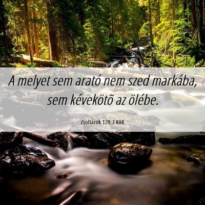 Picture 06 - Zsoltárok 129:7 KAR - A melyet sem arató nem szed markába, sem - Bible Verse Picture