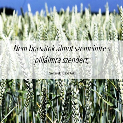 Picture 06 - Zsoltárok 132:4 KAR - Nem bocsátok álmot szemeimre s pilláimra - Bible Verse Picture
