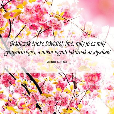 Picture 06 - Zsoltárok 133:1 KAR - Grádicsok éneke Dávidtól. Ímé, mily jó és - Bible Verse Picture