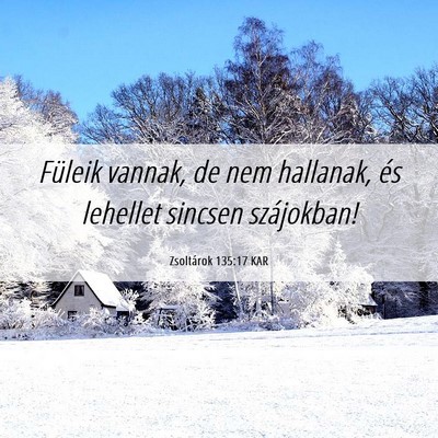 Picture 06 - Zsoltárok 135:17 KAR - Füleik vannak, de nem hallanak, és lehellet - Bible Verse Picture