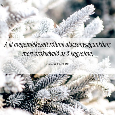 Picture 06 - Zsoltárok 136:23 KAR - A ki megemlékezett rólunk alacsonyságunkban; - Bible Verse Picture
