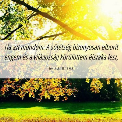 Picture 06 - Zsoltárok 139:11 KAR - Ha azt mondom: A sötétség bizonyosan elborít - Bible Verse Picture