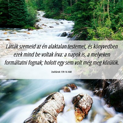 Picture 06 - Zsoltárok 139:16 KAR - Látták szemeid az én alaktalan testemet, és - Bible Verse Picture