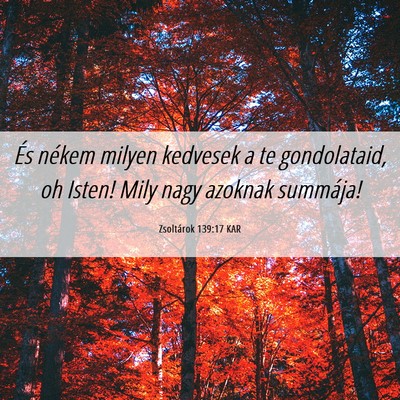 Picture 06 - Zsoltárok 139:17 KAR - És nékem milyen kedvesek a te gondolataid, oh - Bible Verse Picture